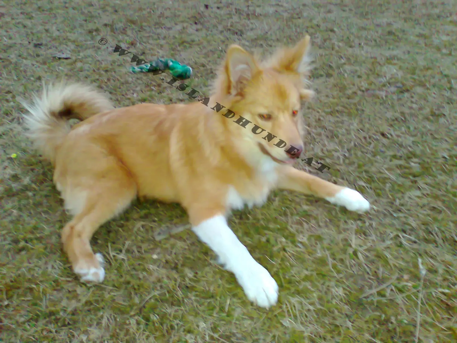 Foto0018